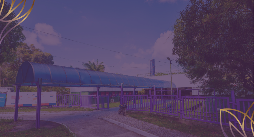 manifesta (4)